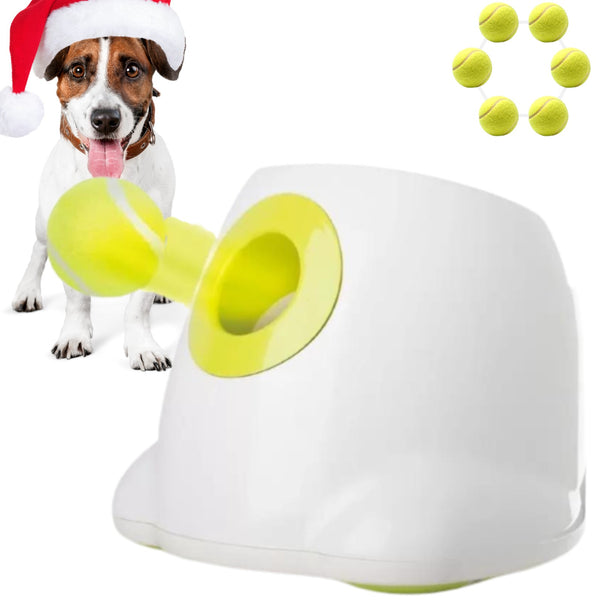 Automatic Ball Launcher Throwing Machine Dog Toys Interactive Tennis Pet 6 Balls