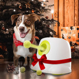 Automatic Ball Launcher Throwing Machine Dog Toys Interactive Tennis Pet 6 Balls